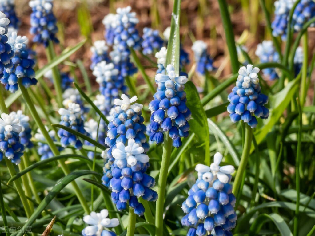 泛癌早筛行业如何,中国泛癌种早筛早诊研究项目启动