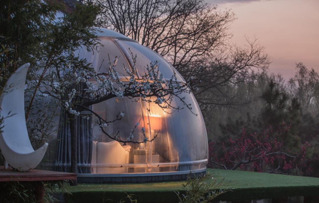 桃花岛宝藏,乡村旅游桃花岛