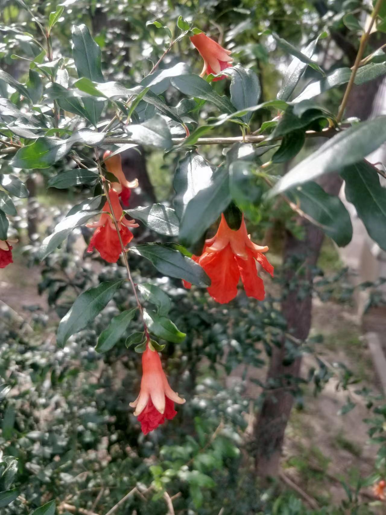 维修伤感文案,让人无语的维修