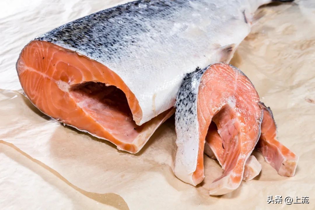 大马哈鱼,东北大马哈鱼