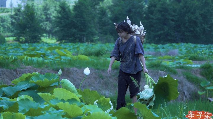 去有风的地方刘亦菲被说胖,去有风的地方刘亦菲忽胖忽瘦