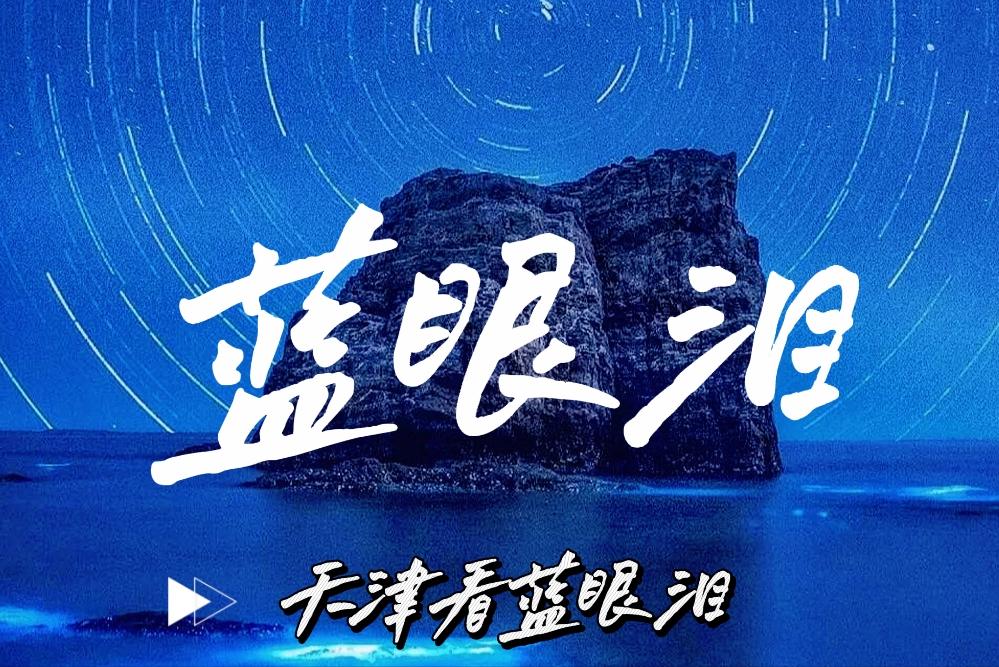 天津东疆港蓝眼泪出现时间,游玩天津东疆港攻略