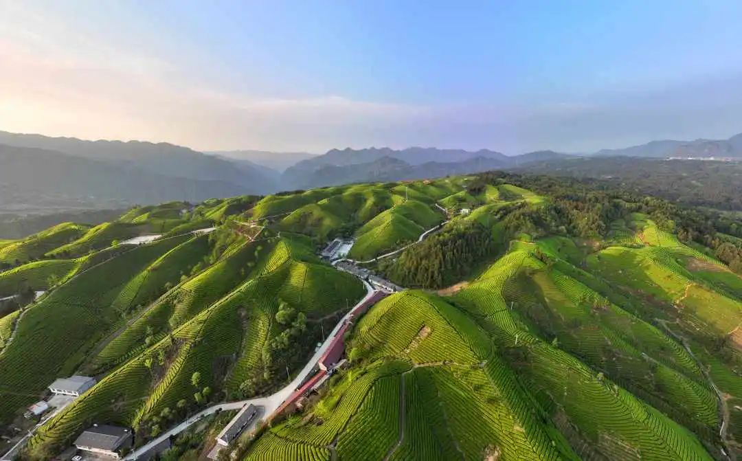 鹤峰走马葛仙米价格,鹤峰特产葛仙米怎么吃