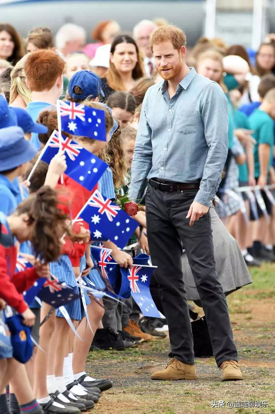 哈里王子和威廉王子回忆,哈里王子梅根感人视频