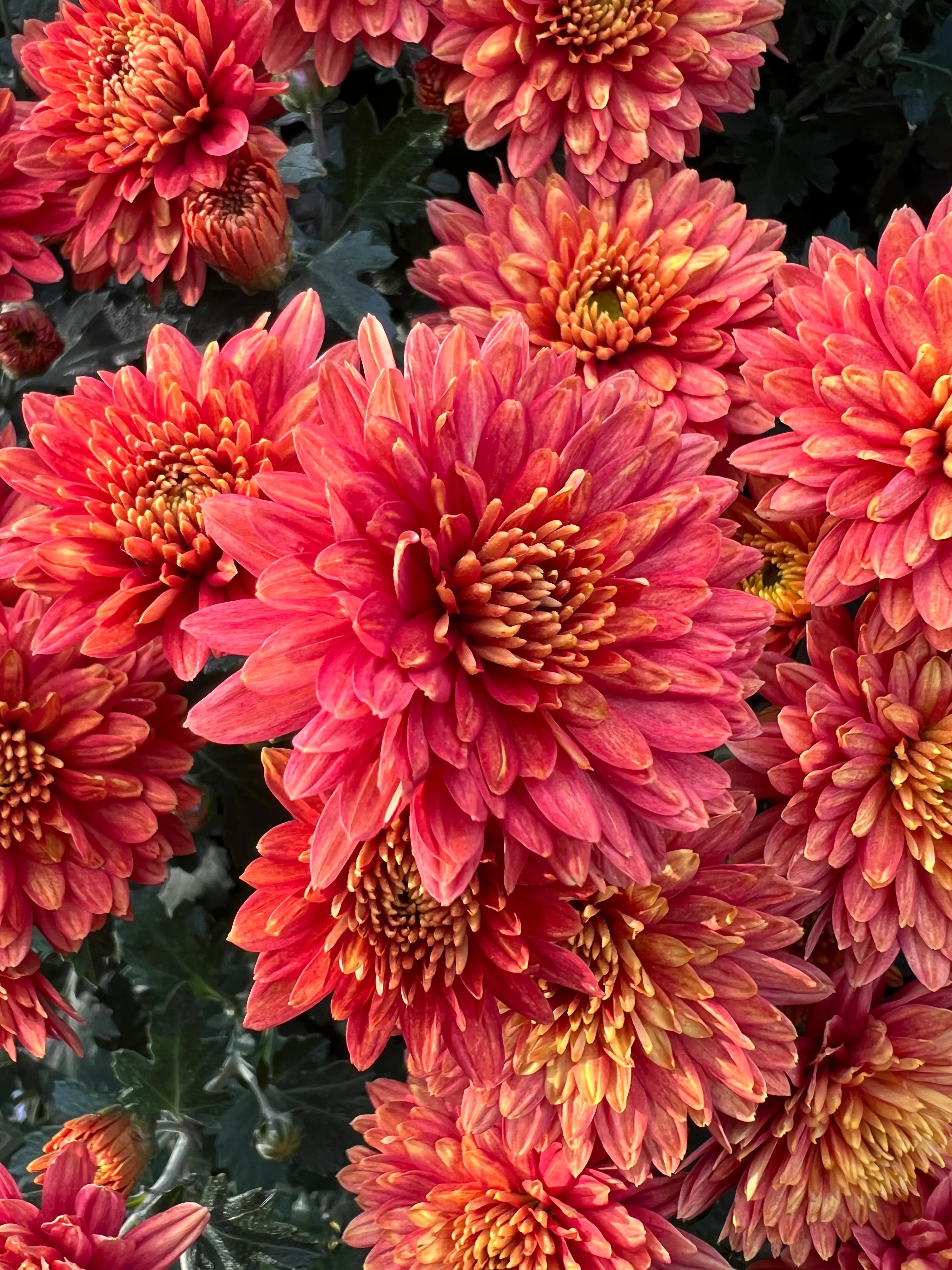 二十条负面清单,21条负面清单是哪些