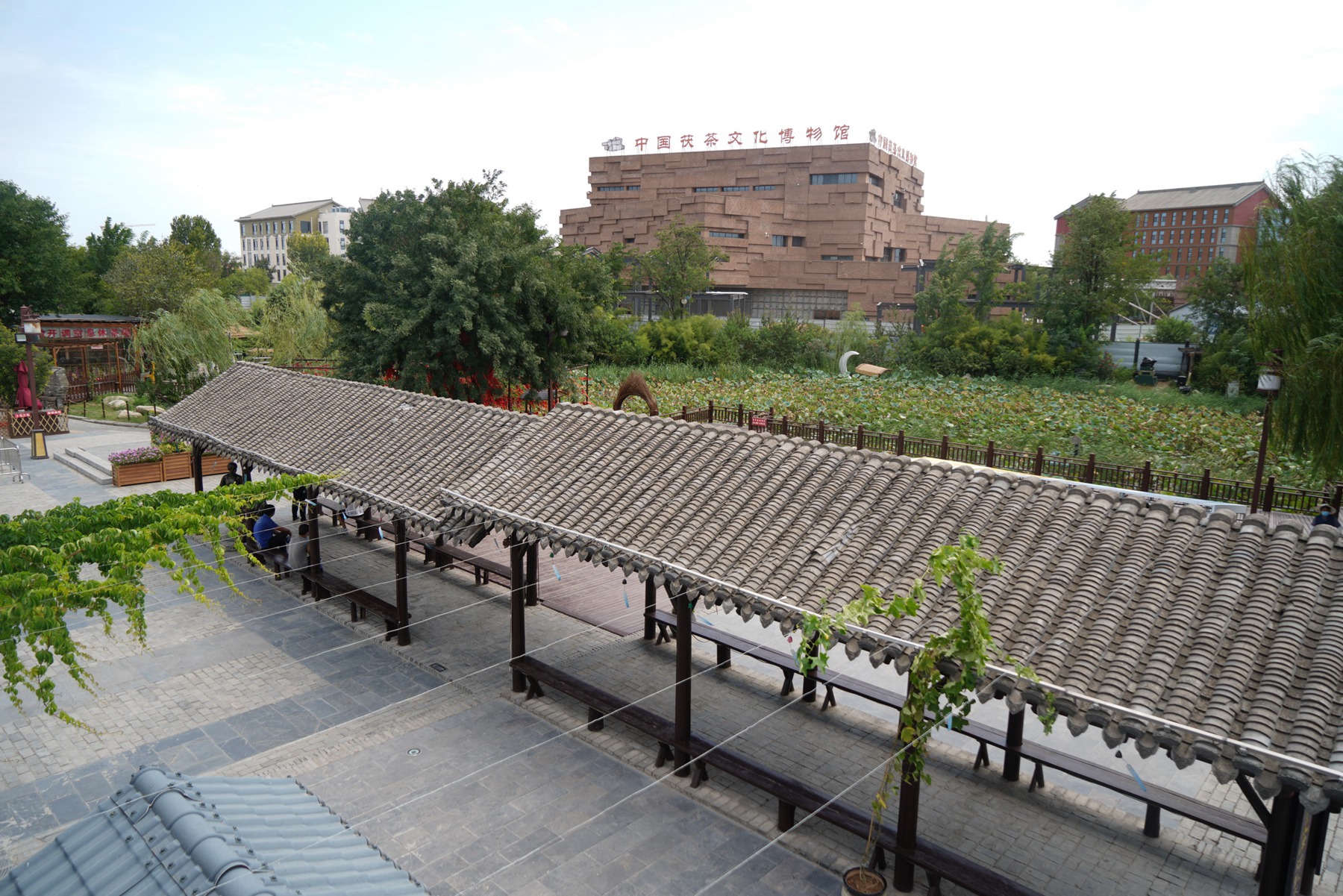 泾河投资1000亿的项目,泾河新城2000亩