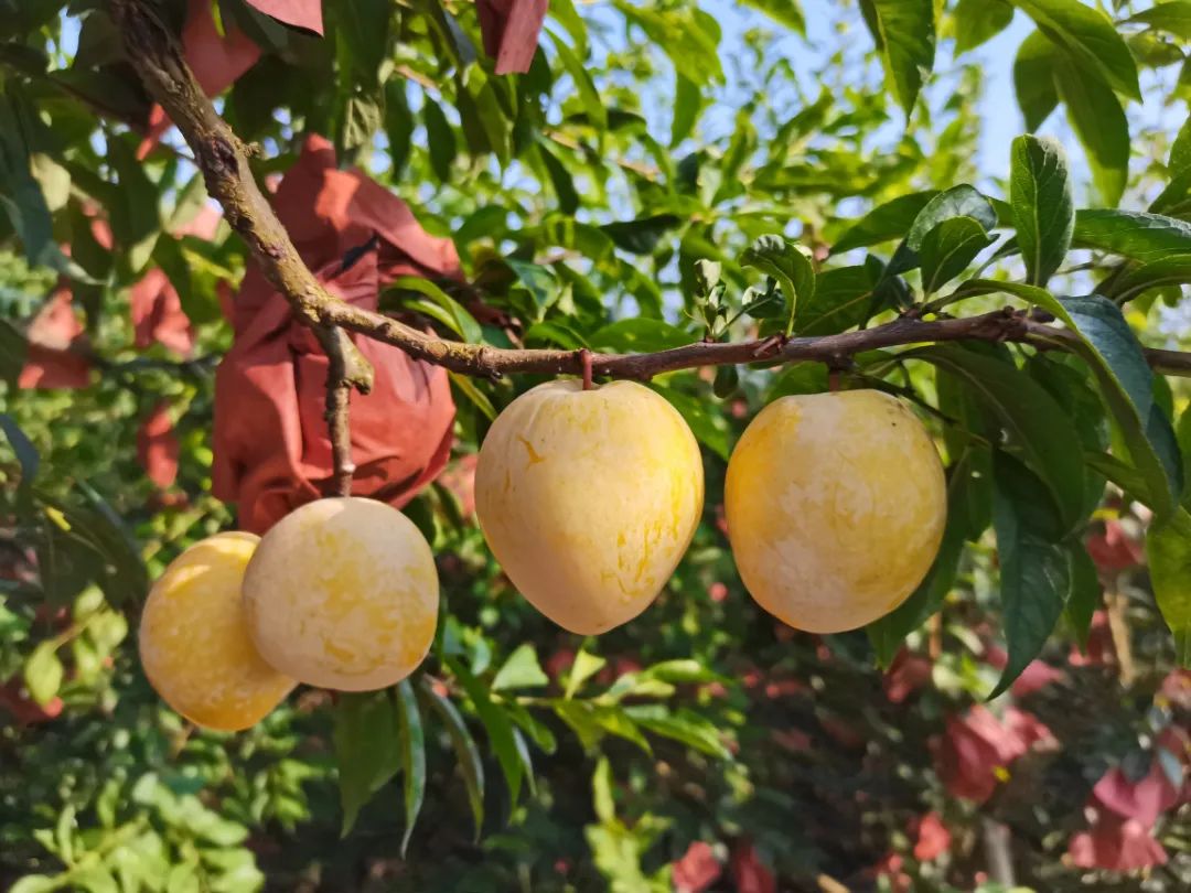 暑假韶关有什么好玩的地方,韶关周边避暑胜地亲子游