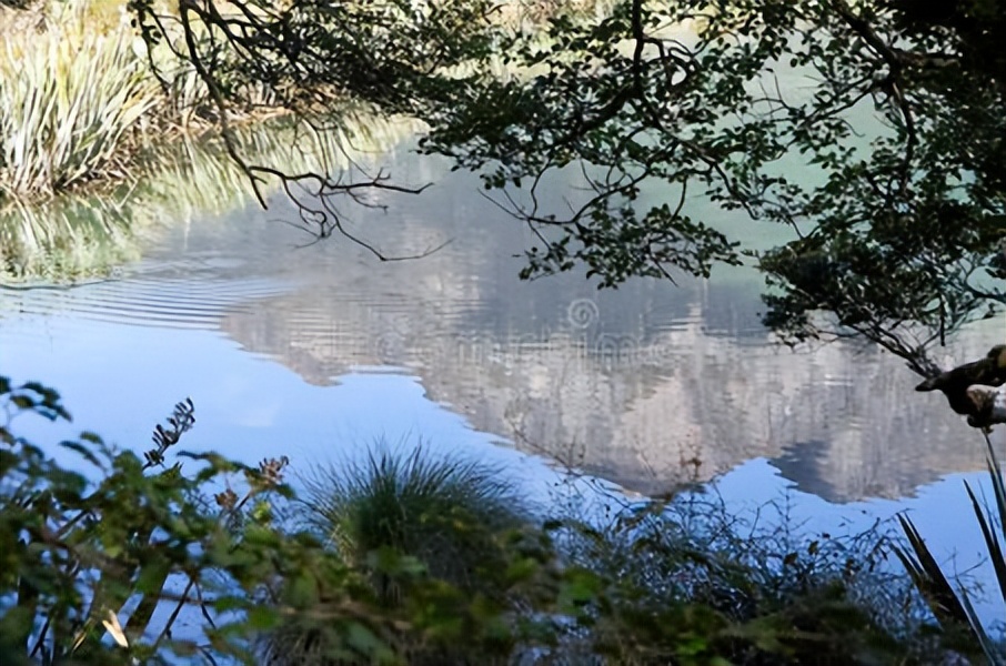 突尼斯历史遗产和建筑，反映了突尼斯怎样的文化背景？