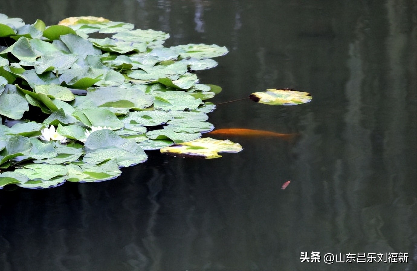 阴雨连绵网易云,阴雨连绵网易云卡点