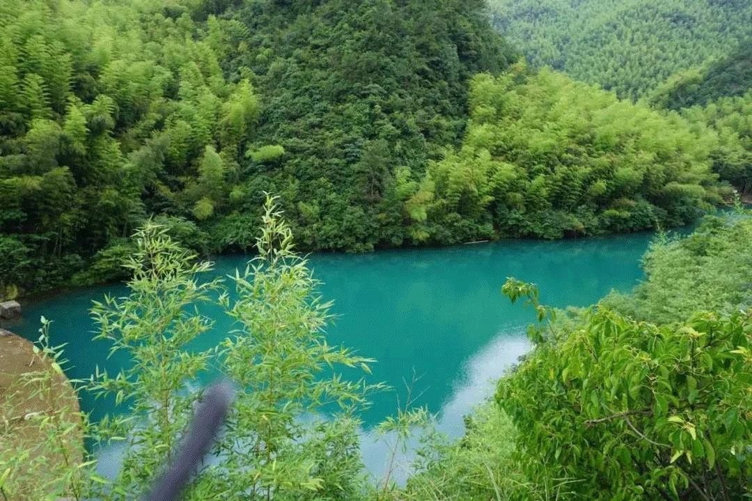 江浙沪附近避暑民宿,夏天莫干山性价比民宿推荐