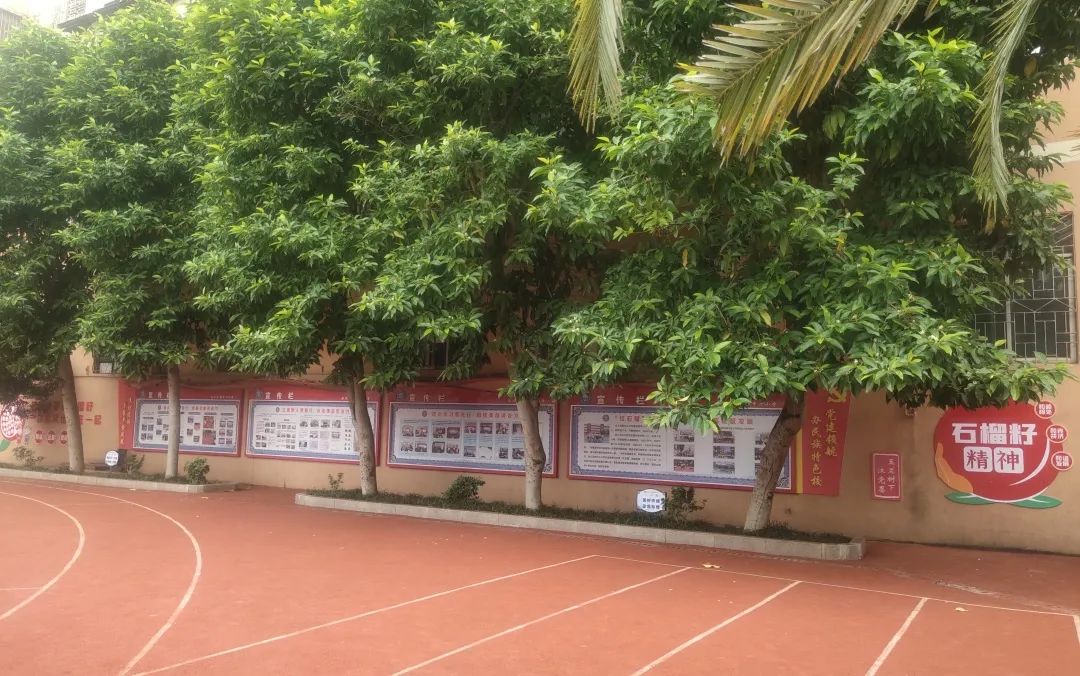 南康赤土民族小学,南康区赤土民族中心小学六年级