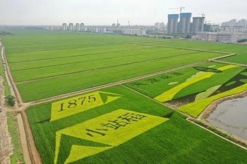 天津小站镇现在是什么地方,天津市小站镇位置