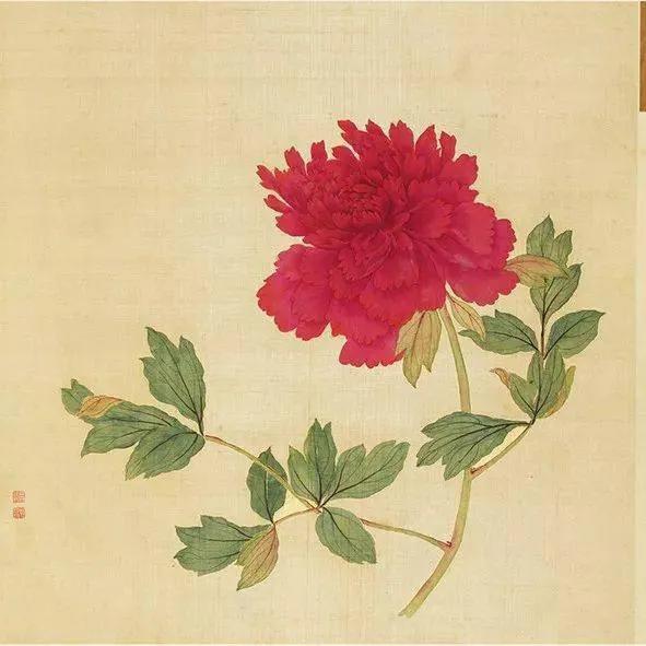 蒋廷锡牡丹画法,蒋廷锡百种牡丹画法