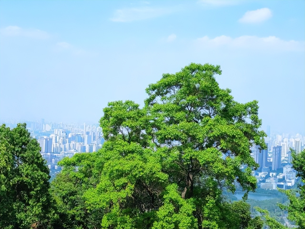 合肥旅游景点大全排名榜前十名,合肥哪些旅游景点春节期间免费