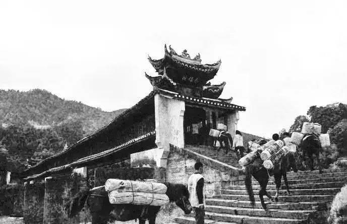 何其友文史：“汉中镖局”的传奇人生