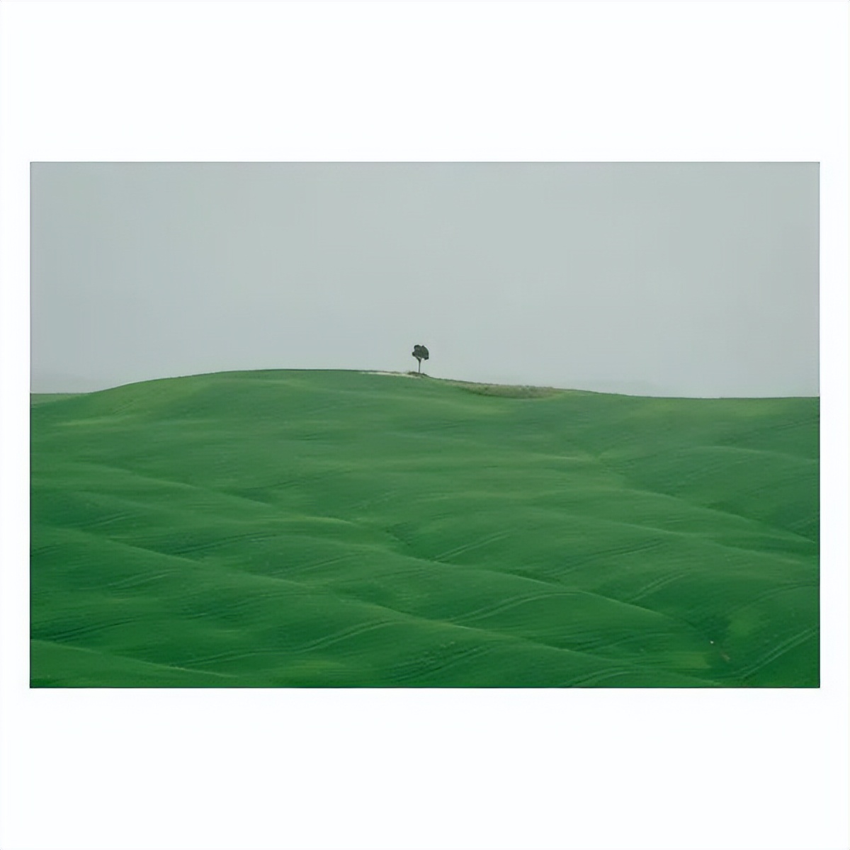 情人节送什么礼物给女朋友有意义,情人节应该给女朋友送什么礼物