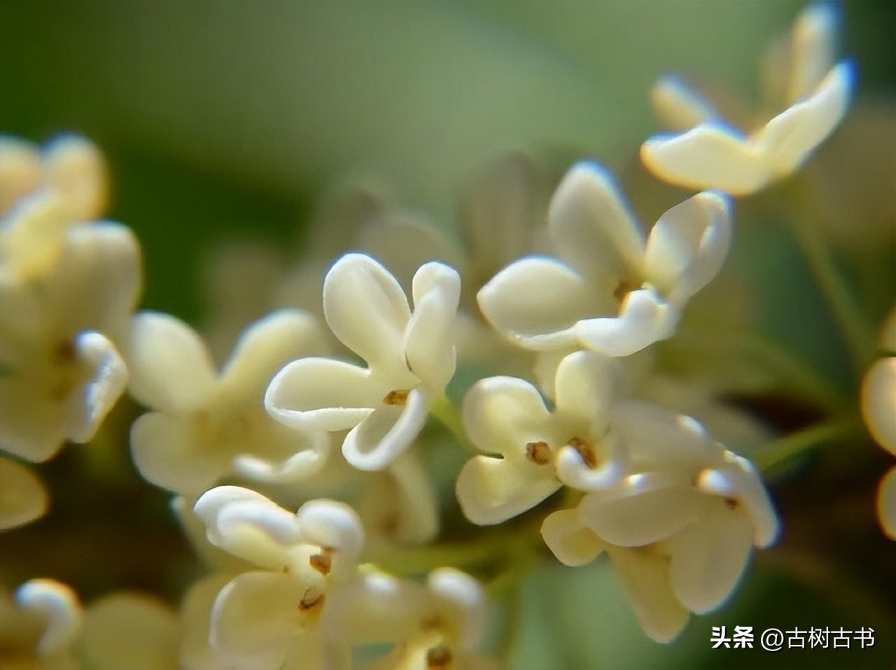 不是你的错怎么原谅,不是你的错谁也无法改变