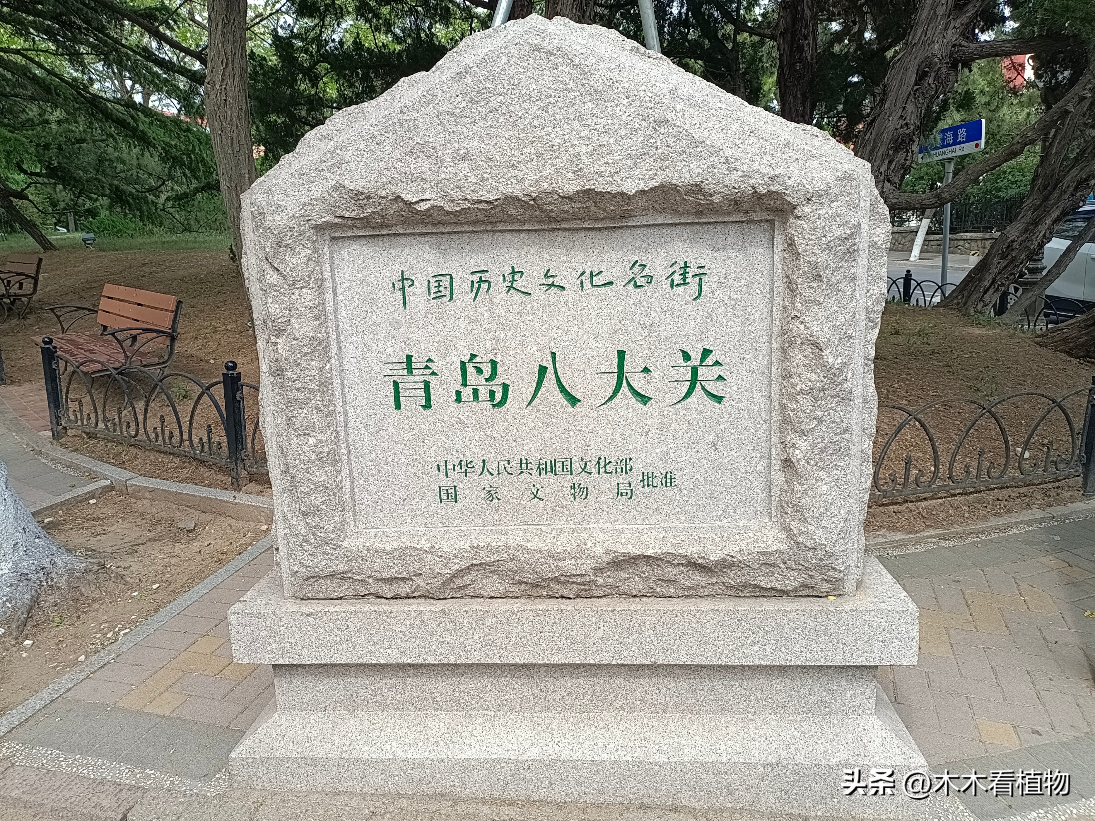 一颗迷人的松果,美丽松果