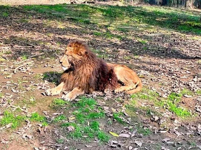 乐活乐都动物园游玩攻略,重庆动物园旅游攻略三日游