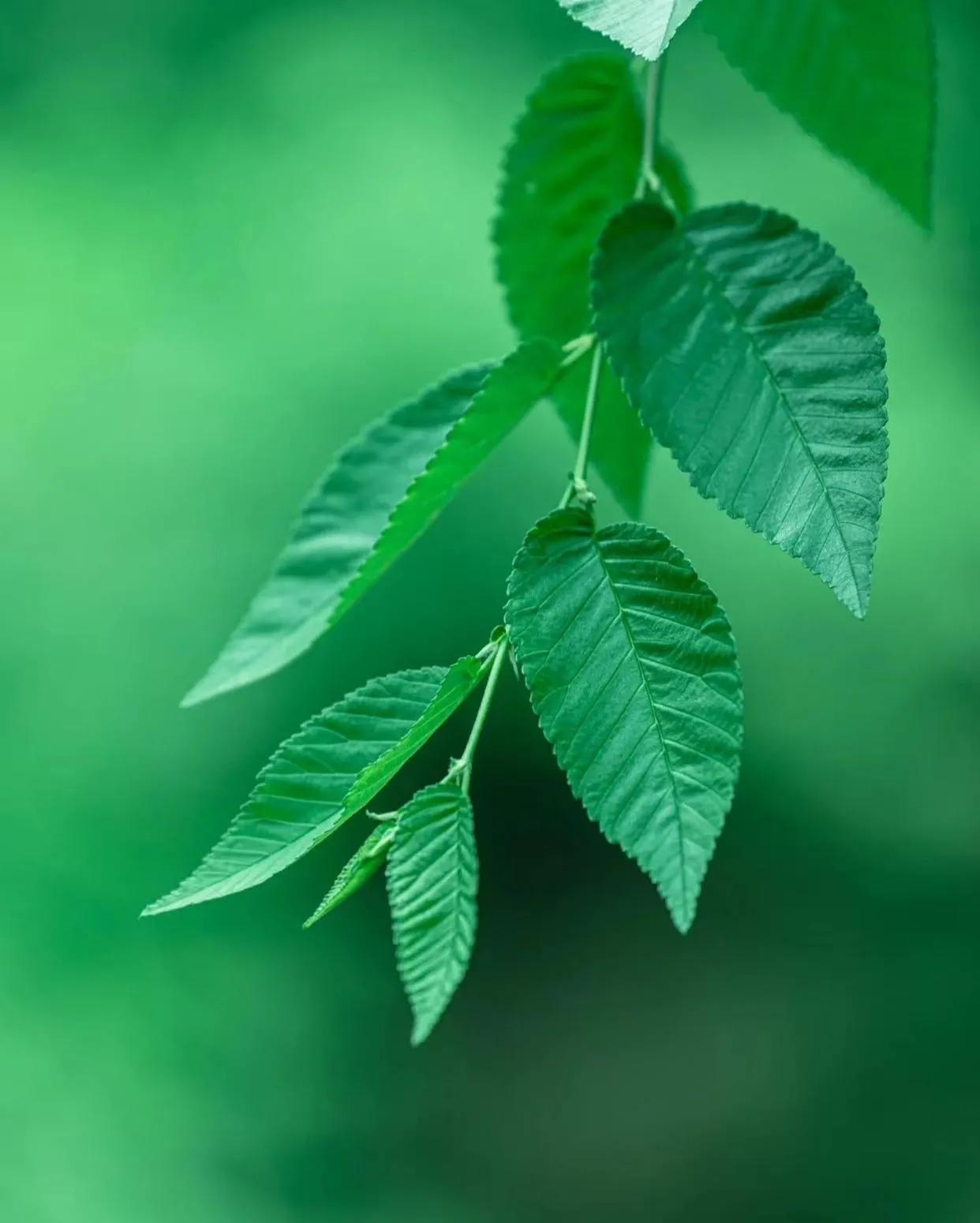 开通了头条自媒体收益有什么用,头条自媒体文章收益怎么计算