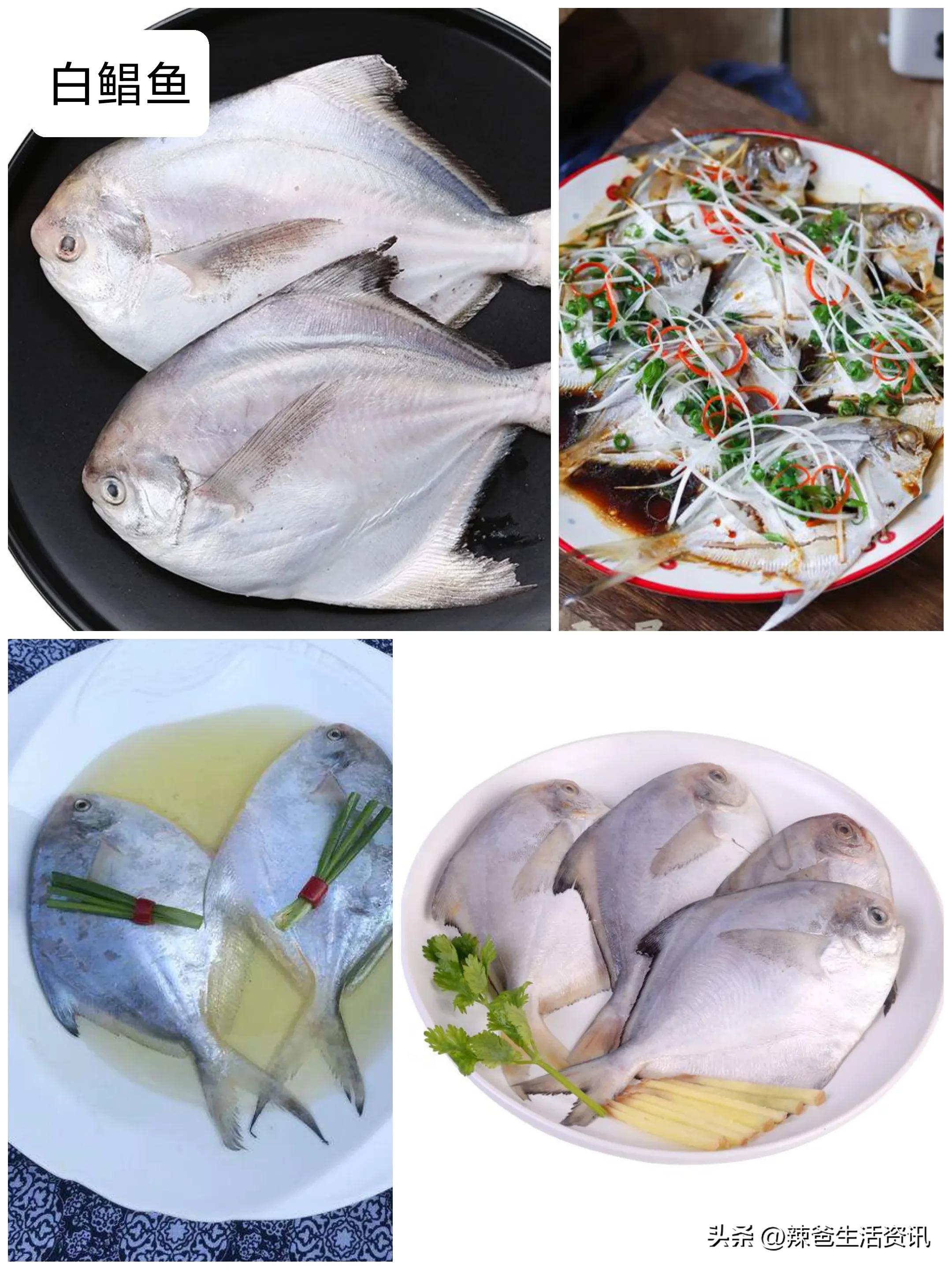 30种最常吃的海鱼做法,家常有哪些海鱼最好吃