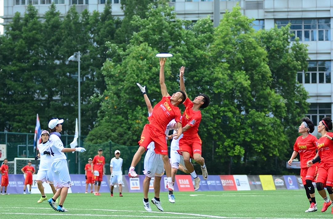 飞盘的“炙热”，热过申城的艳阳