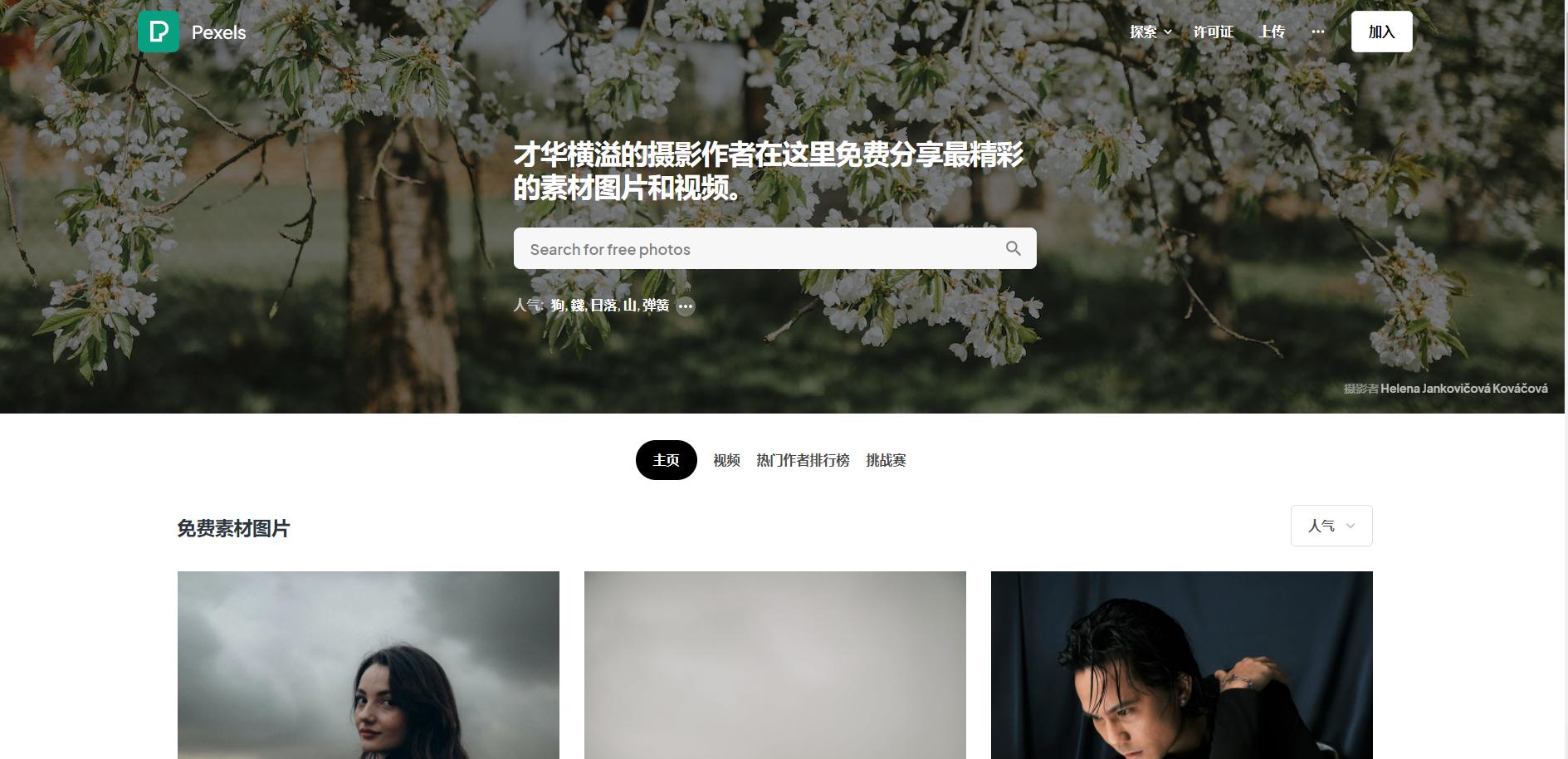 版权图片网站有哪些,比较好用的有版权商用图片网站