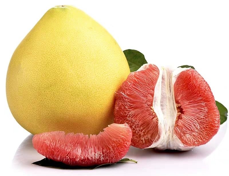 橘子橙子柑子桔子的树叶区别图解,橘子柑子和橙子的区别傻傻分不清