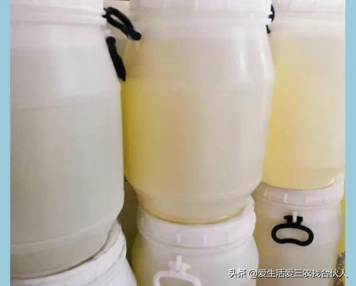 足不出户，如何做到月入过万？这几个项目值得一试