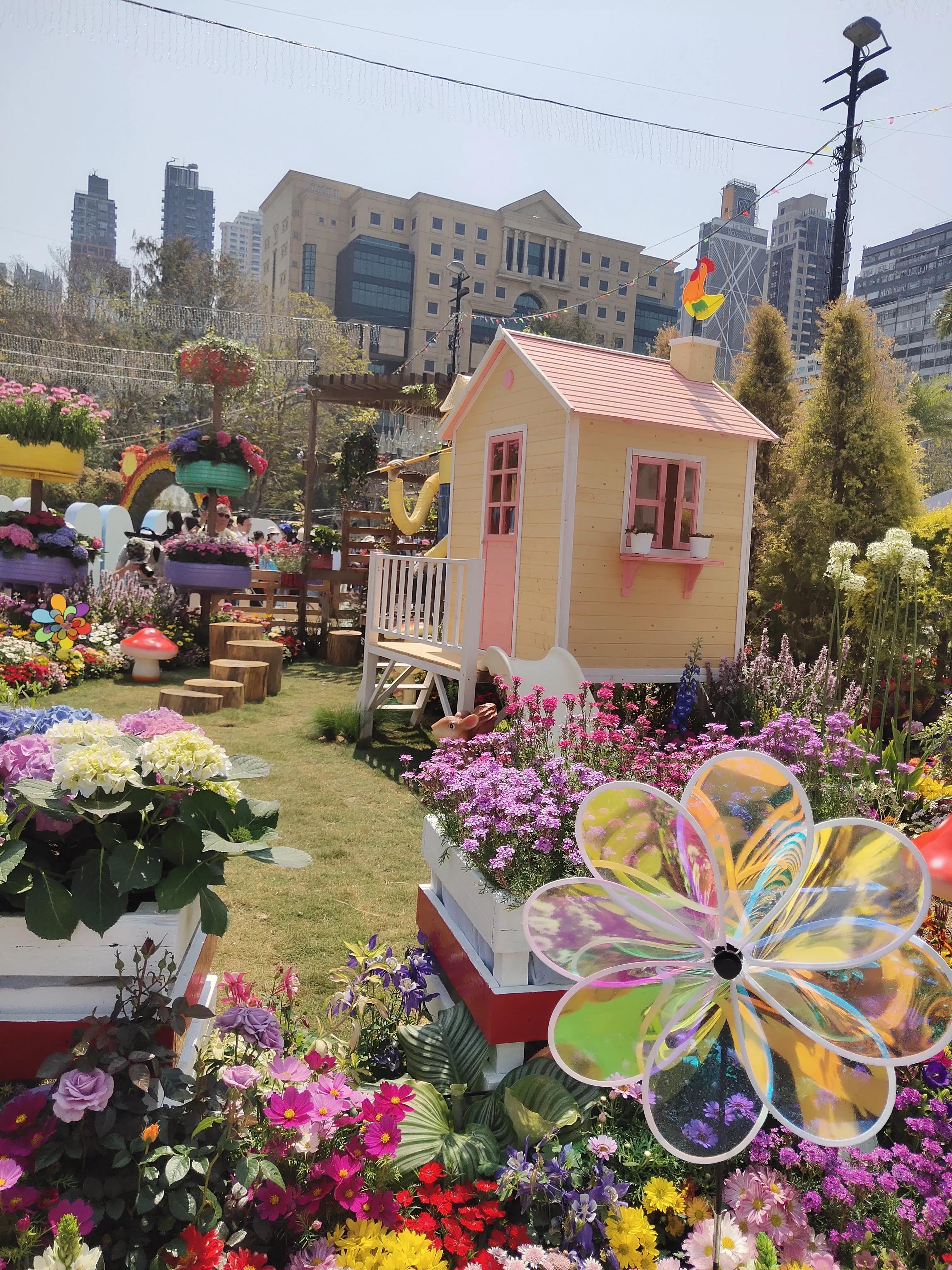 香港参观,参观花展感悟