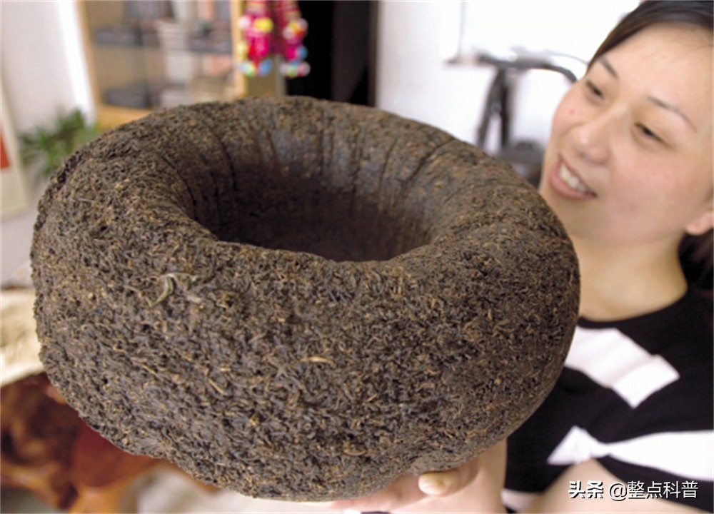 普洱茶熟茶里的霉菌,变质的普洱茶熟茶喝了会如何