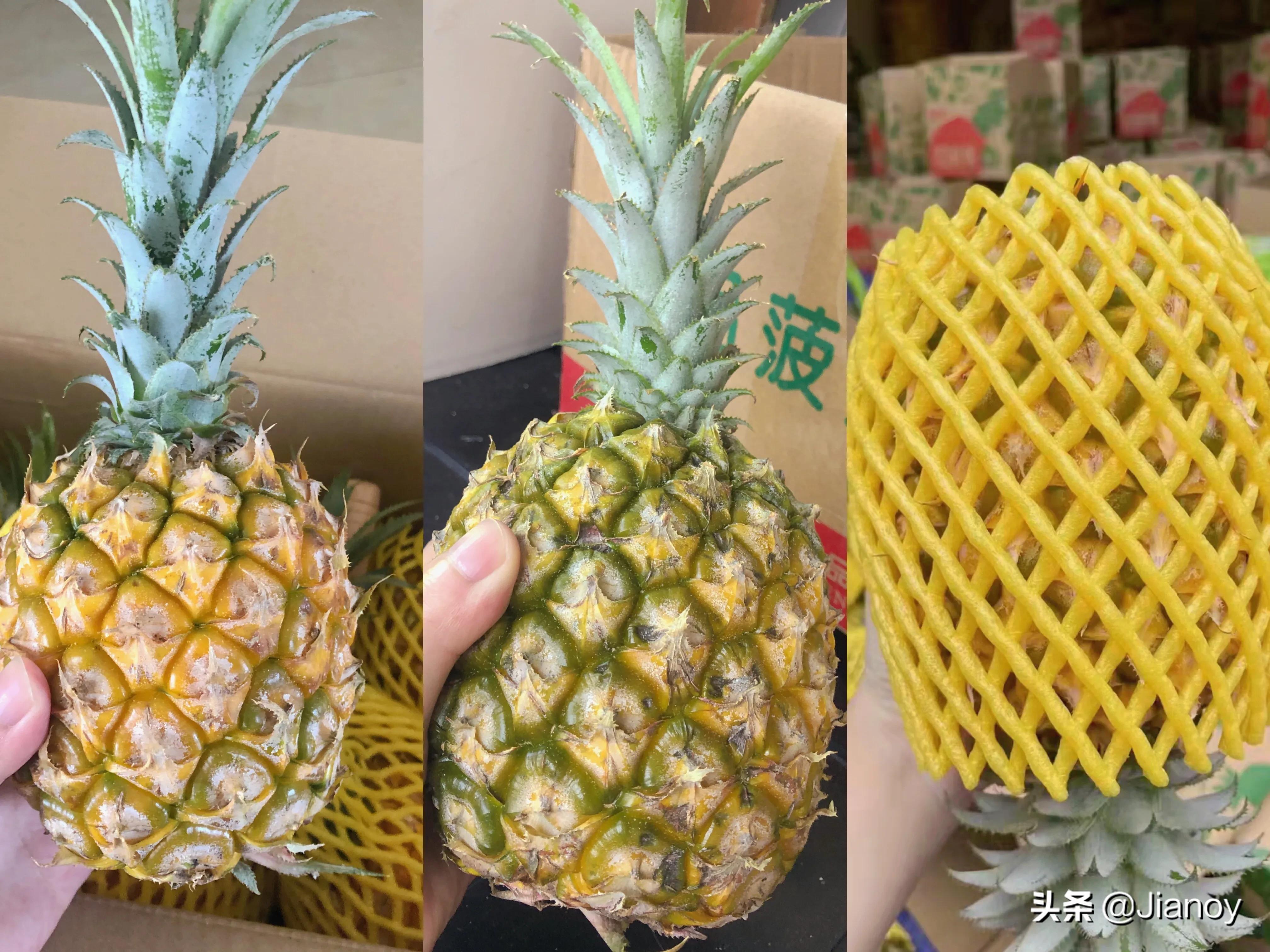 神湾菠萝与泰国菠萝的区别,徐闻菠萝和海南菠萝哪个好吃
