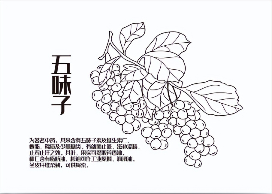 药物性肝病首选保肝药有哪些,中医药如何防治慢性肝病