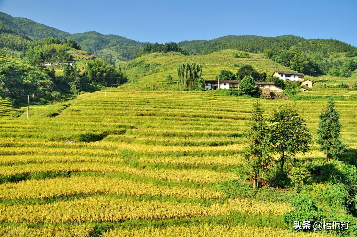 大爷爷和*奶大**奶的一生