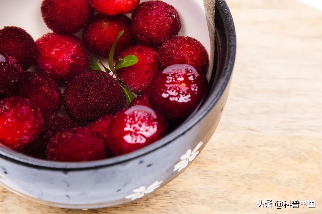 杨梅有虫能放心吃吗,杨梅有虫能放心吗