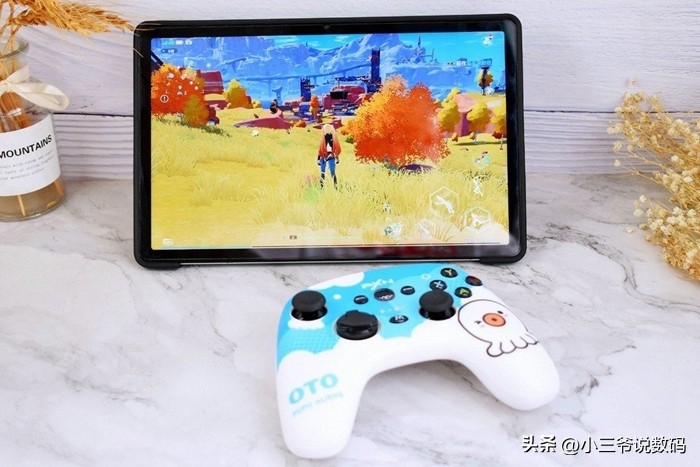 莱仕达手柄p20可以玩什么游戏,莱仕达手柄pxn-9628连接switch