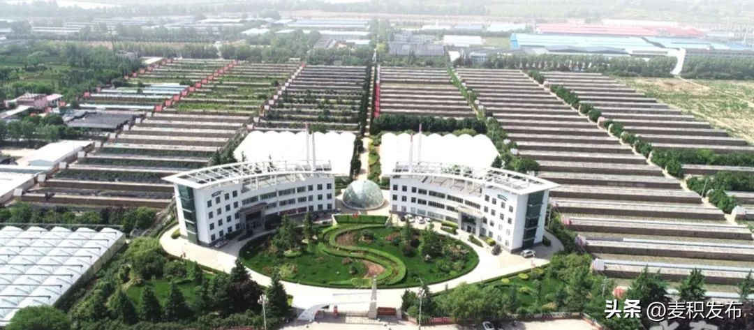 麦积投资指南——魅力麦积兴业热土