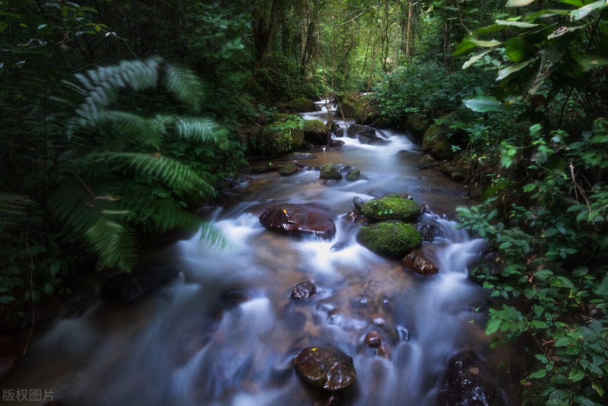 美丽的西双版纳冬天避寒的好地方,冬天度假与西双版纳相似的地方