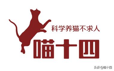 新手养猫的十大骗局,雪山猫粮国产和进口的区别