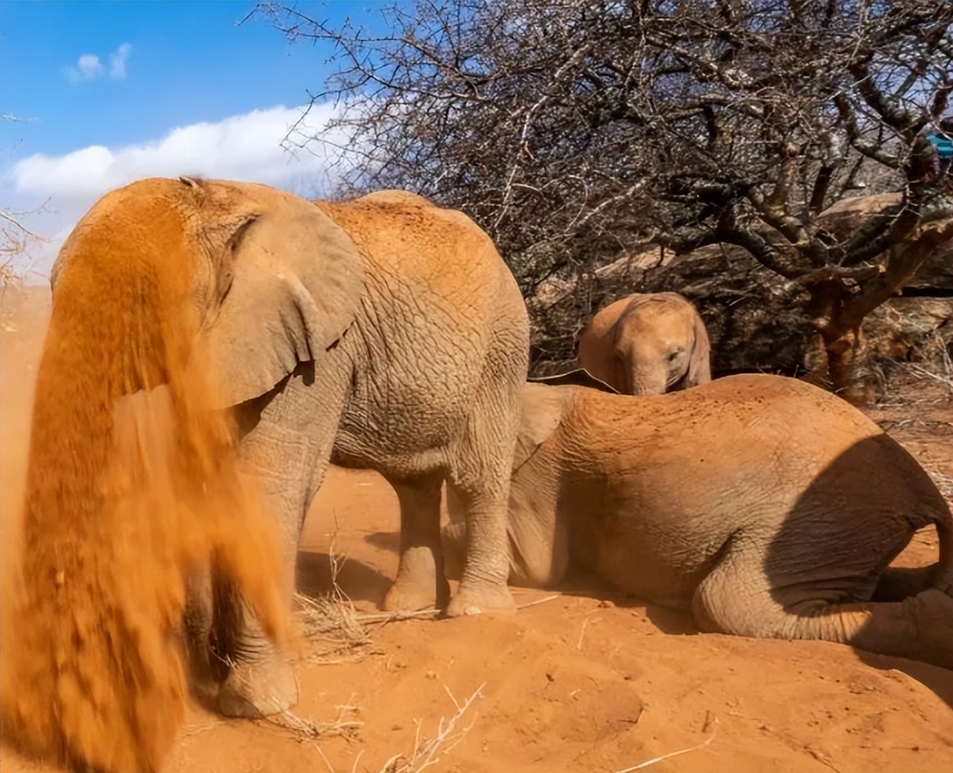 涓栫晫鍗佸ぇ瓒呮ā韬潗鍥剧墖鍥炬枃,涓栫晫鍗佸ぇ瓒呮ā鎯婅壋鍐欑湡
