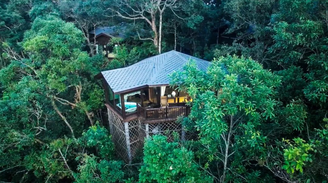 三八妇女节值得纪念的日子,一年一度的三八妇女节即将到来