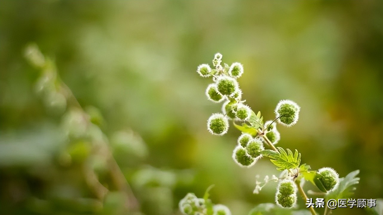 汉朝的气候变迁与王朝兴衰,气候变迁与王朝兴衰书籍