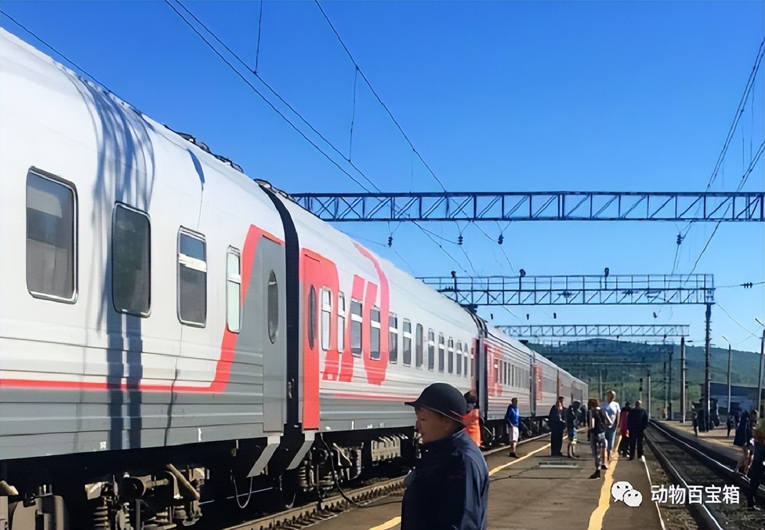 西伯利亚被俄罗斯开发了吗,俄罗斯是如何开发西伯利亚