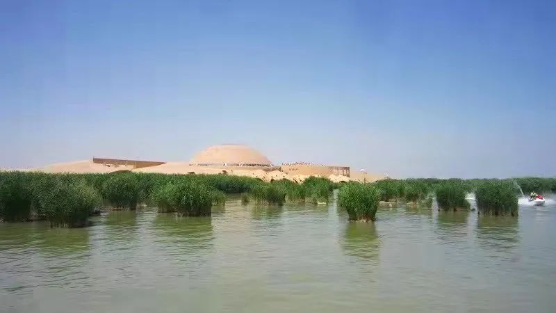 甲癌感恩的话,甲友心声抗癌15年