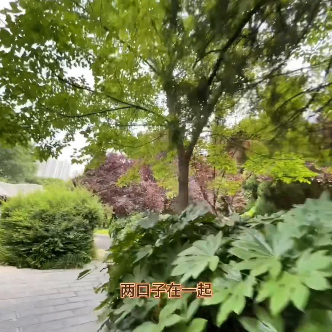 没有白走的路每一步都算数的英语,没有白走的路每走一步都算数