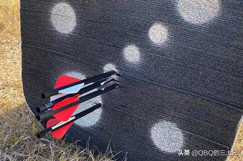 运动步枪威力大还是pcp气枪威力大,pcp和aea两种气枪有什么区别