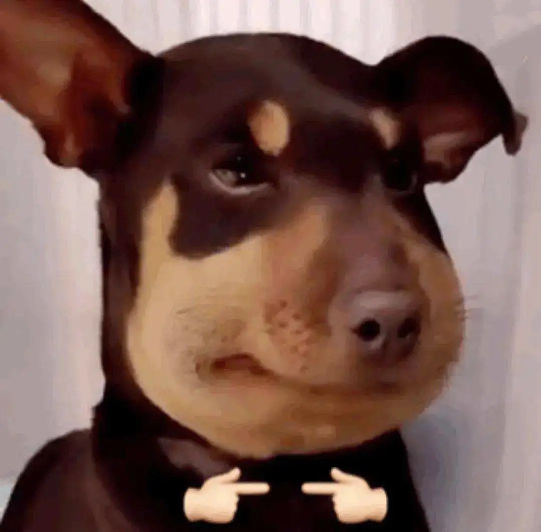 水果中的爱马仕多少钱,高端水果中的爱马仕