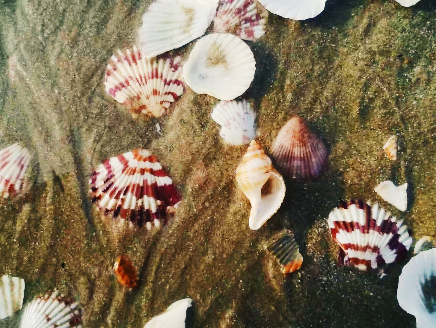 穷游越南全攻略 (越南老挝柬埔寨缅甸四国游多少钱)