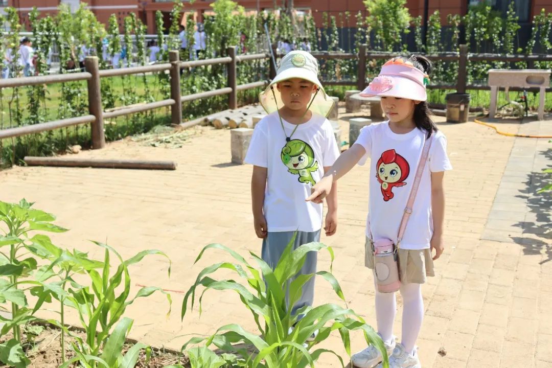 花开有时，以爱相约——济南高新区这家小学用心了