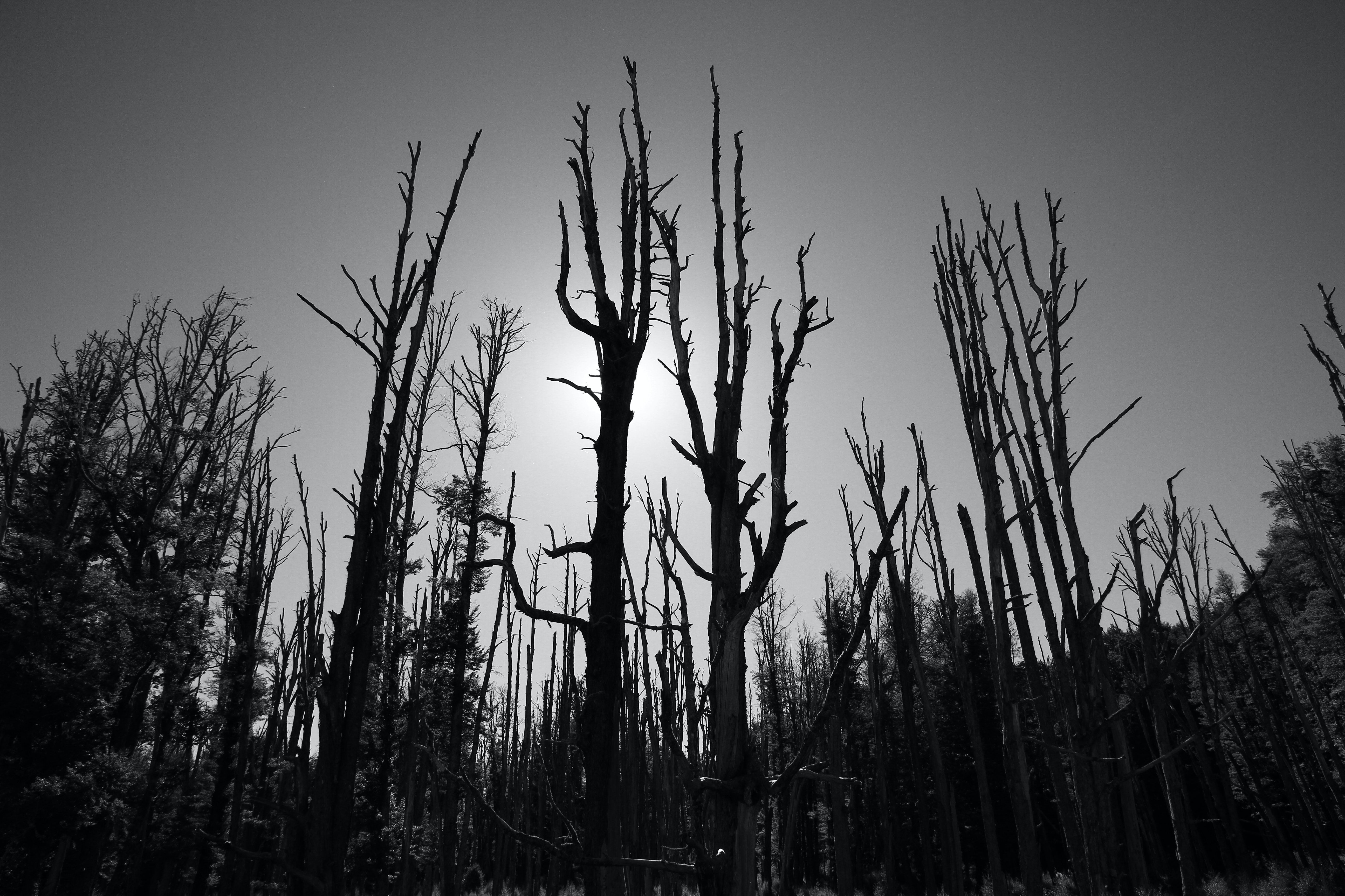 自媒体文案写作网站推荐,怎么提升自媒体文案写作技巧